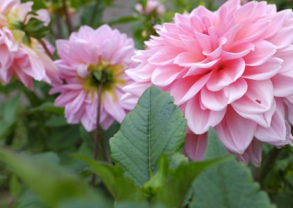 Spirituelle Lebensberatung